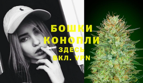 шишки Беломорск