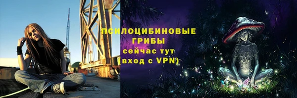 ешки Белоозёрский