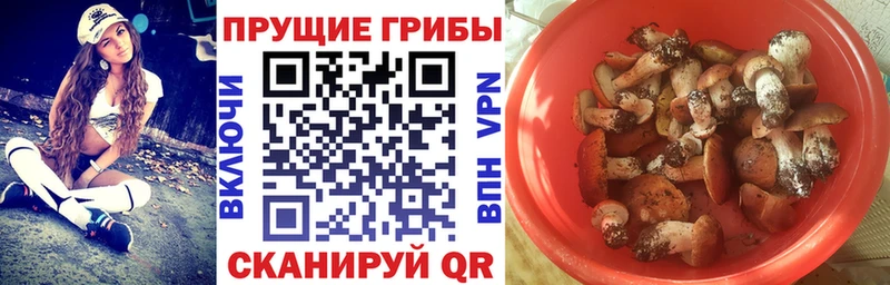Псилоцибиновые грибы Magic Shrooms  Верхотурье 