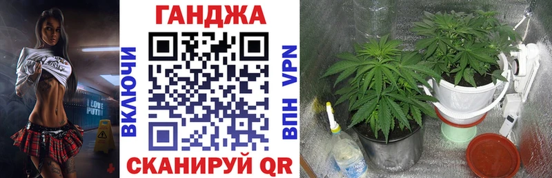 Шишки марихуана Ganja  Верхотурье 